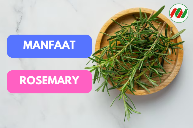 Rosemary: Bumbu Masak yang dapat Meningkatkan Kesehatan